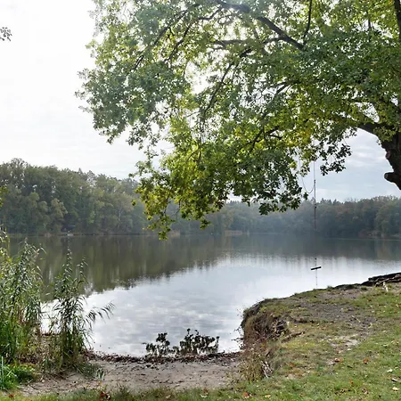 Ferienhaeuser Im Sternenpark Am Holiday home *