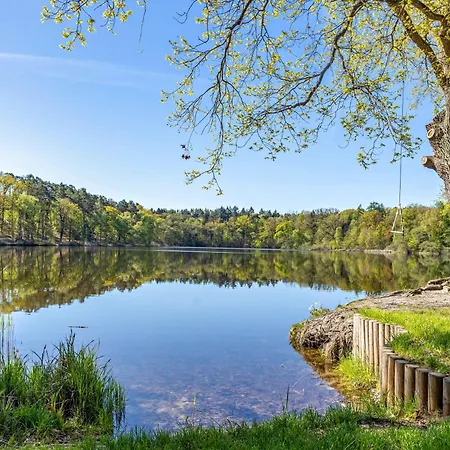 Ferienhaeuser Im Sternenpark Am