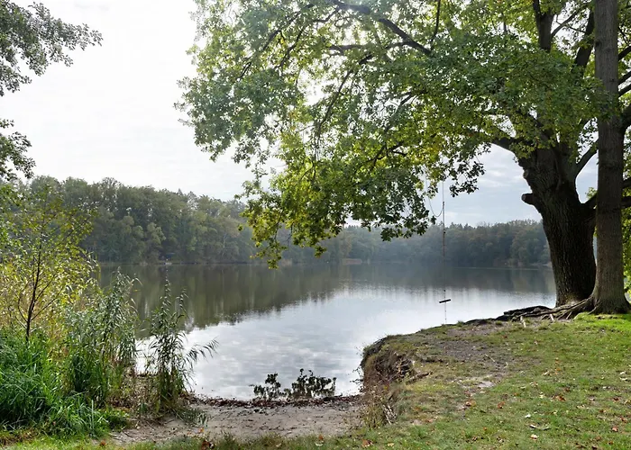 Im Sternenpark Am Ferienhaus Lochow